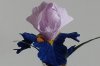 iris blauw
